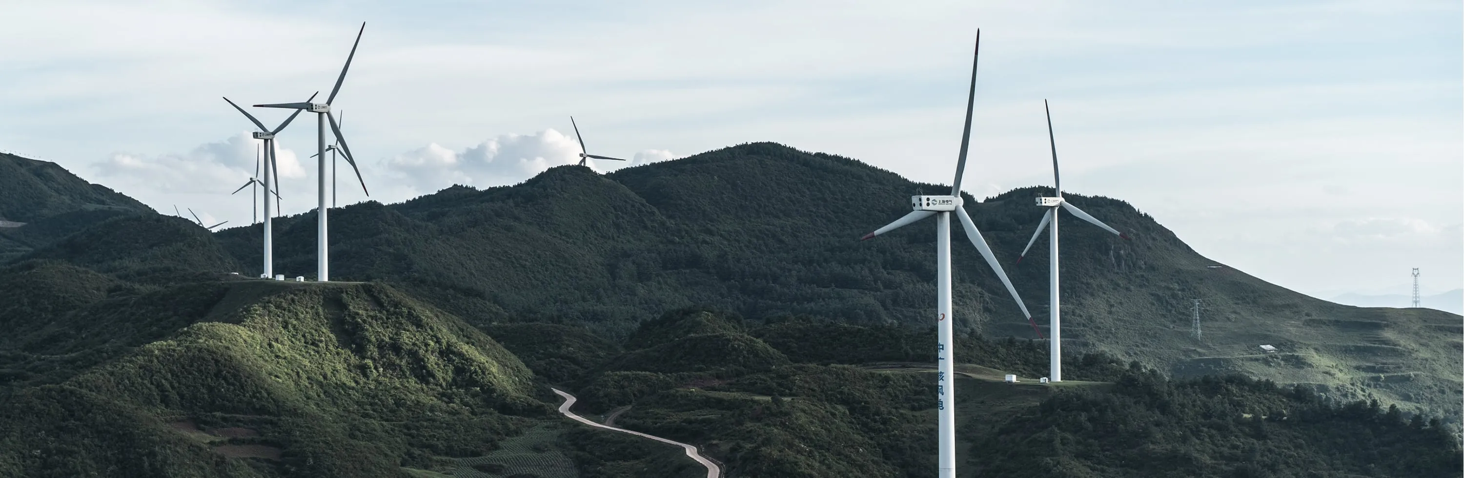 Aerogeneradores sobre una ladera cubierta de bosque